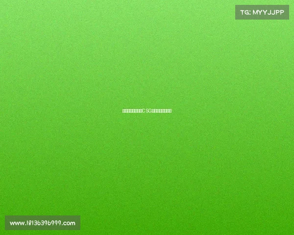 《解码数字战场：CSG的电竞热血征途》