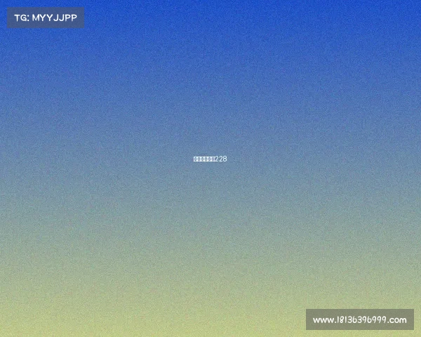 石头个人竞技228